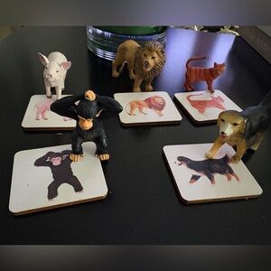 Animal Matching Game Set for Kids